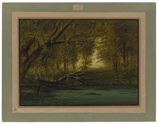 An Alligator's Nest, by George Catlin