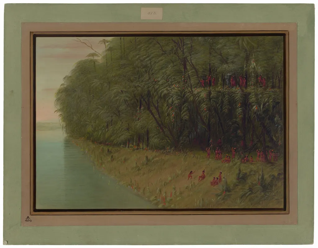 An Amazon Forest - Looking Ashore, by George Catlin, oil, 1862