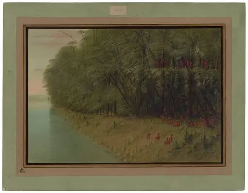 An Amazon Forest - Looking Ashore, by George Catlin