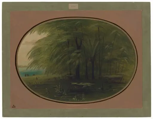 An Indian Village - Shore of the Amazon, by George Catlin