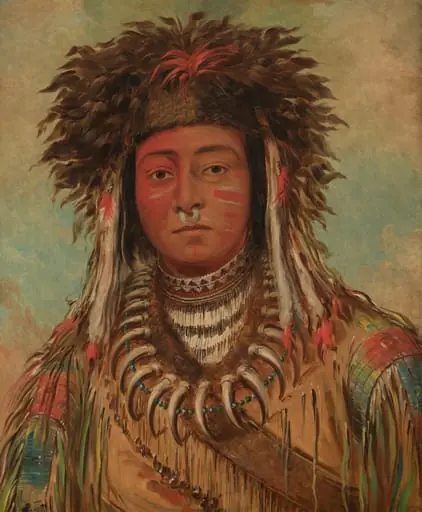 Boy Chief - Ojibbeway, by George Catlin