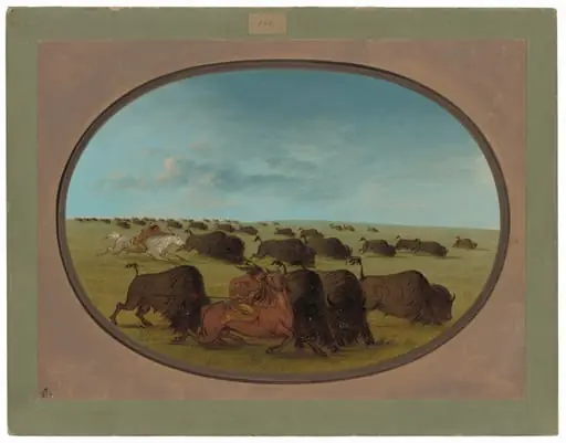 Buffalo Chase, with Accidents, by George Catlin