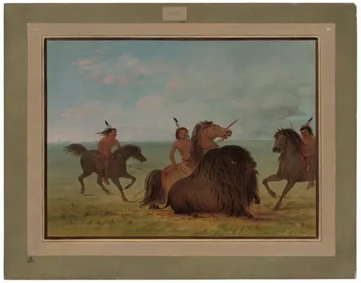 Camanchees Lancing a Buffalo Bull, by George Catlin