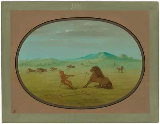 Catching Wild Horses - Pawnee, by George Catlin, 1865
