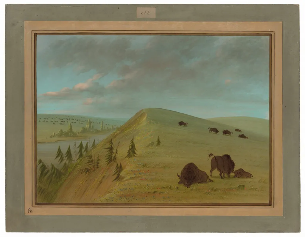Cedar Bluffs, by George Catlin, oil, 1865