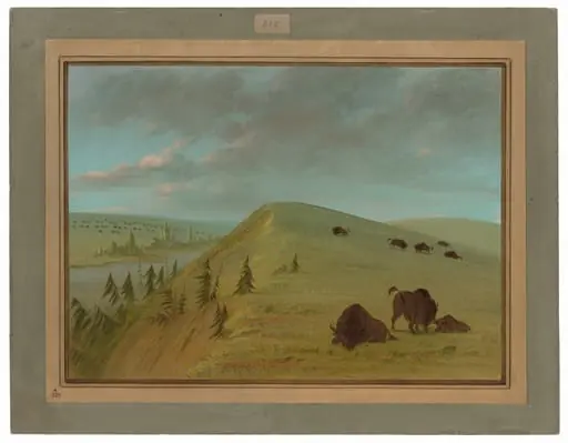 Cedar Bluffs, by George Catlin