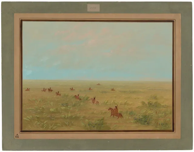 Driving the Pampas for Wild Cattle - Connibo