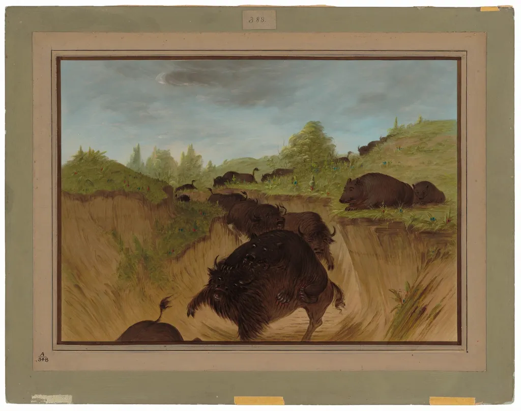 Grizzly Bears Attacking Buffalo, by George Catlin, oil, 1865