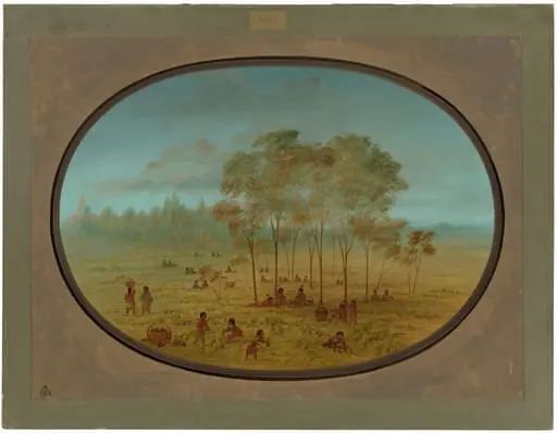 Kiowa Indians Gathering Wild Grapes, by George Catlin