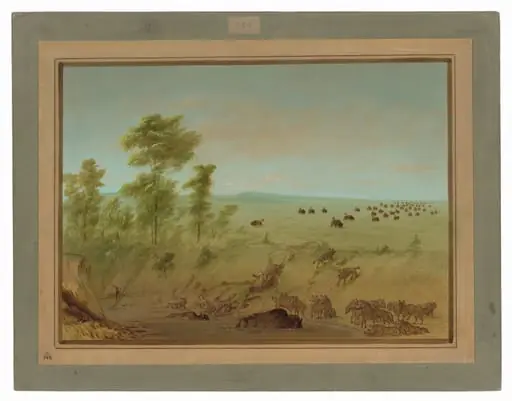 Mired Buffalo and Wolves, by George Catlin