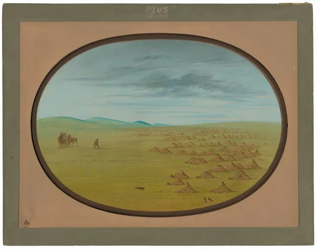 Prairie Dog Village