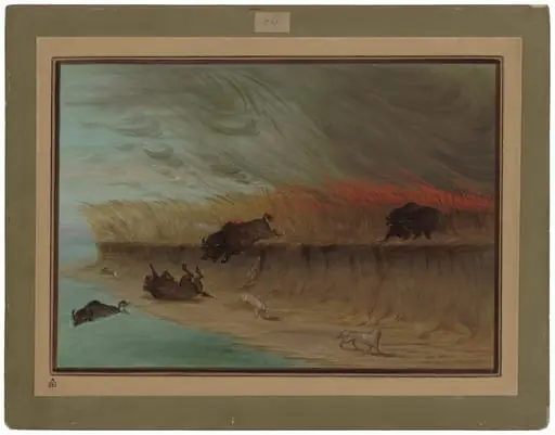 Prairie Meadows Burning, by George Catlin, 1865