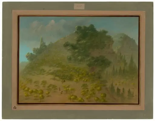 Rhododendron Mountain, by George Catlin