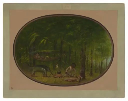 The Great Ant-Eater, by George Catlin, 1862