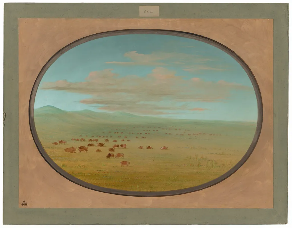 Wild Cattle Grazing on the Pampa del Sacramento, by George Catlin, oil, 1862