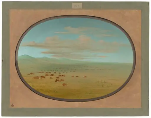 Wild Cattle Grazing on the Pampa del Sacramento, by George Catlin