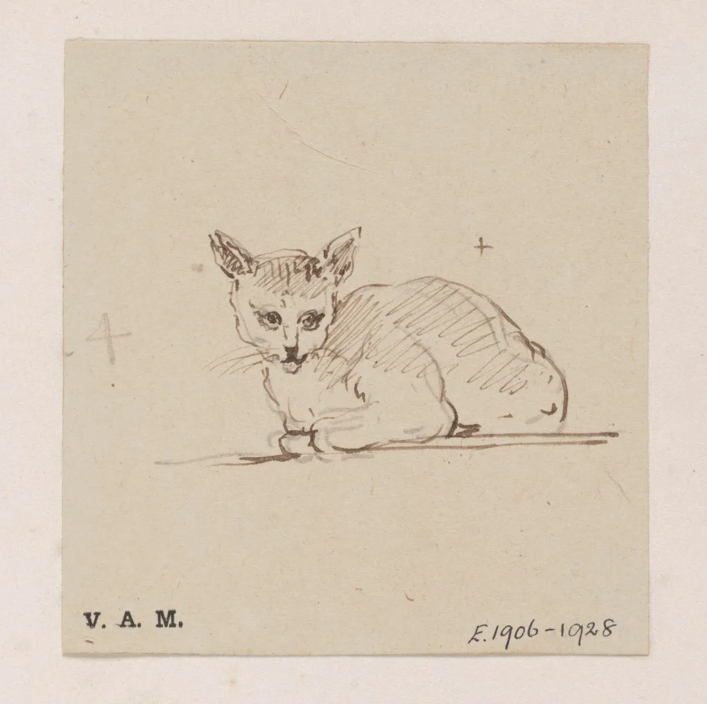 A cat, by George Chinnery, 19