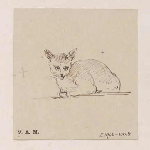 A cat, by George Chinnery