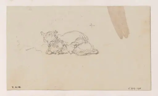 A cat and kittens, by George Chinnery