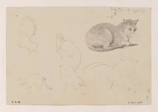 A cat, with related sketches, by George Chinnery