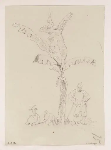 A Chinese man and two goats beneath a banana palm, by George Chinnery