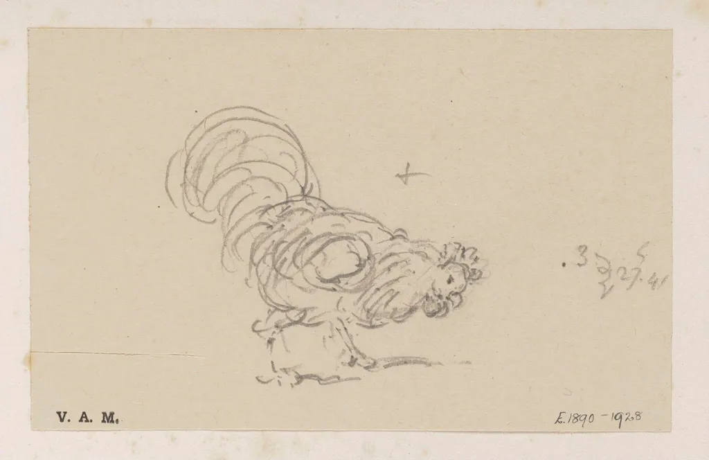 A cockerel, by George Chinnery, 8