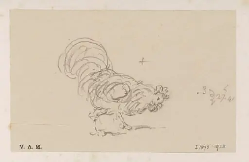 A cockerel, by George Chinnery