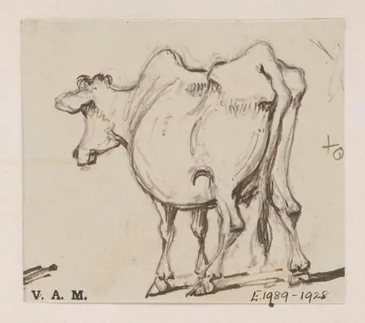 A cow, by George Chinnery