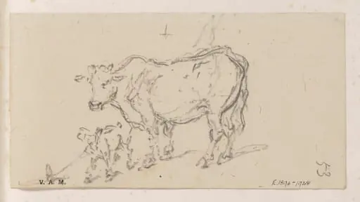 A cow and calf, by George Chinnery