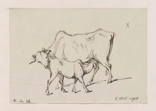 A cow and calf, by George Chinnery
