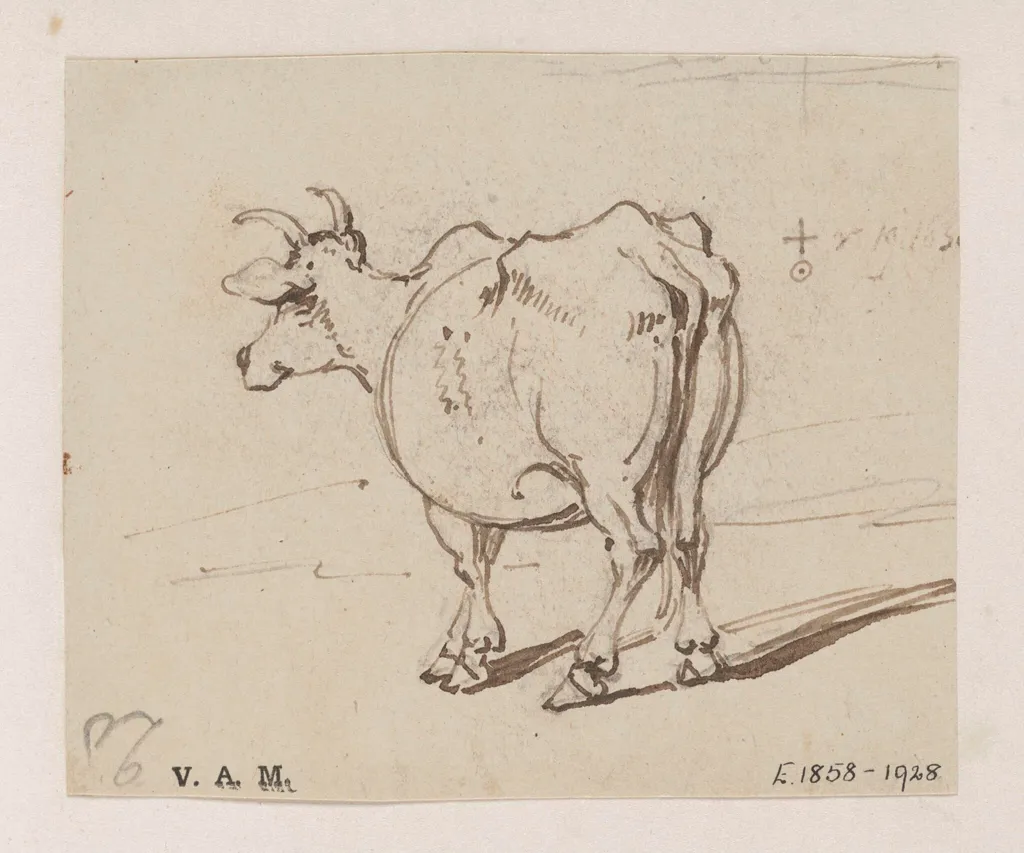A cow seen from behind, by George Chinnery, 11