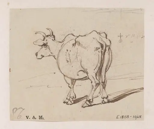 A cow seen from behind, by George Chinnery