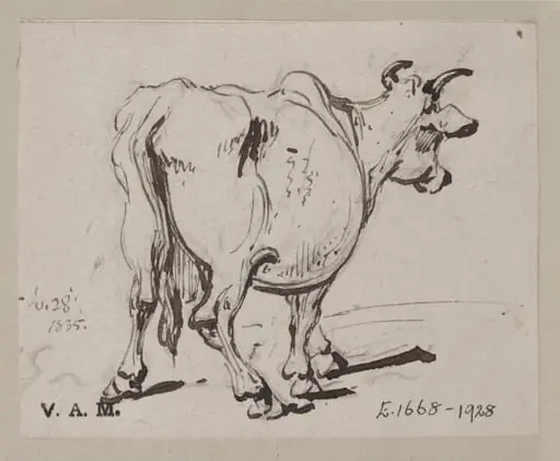 A cow seen from behind, by George Chinnery