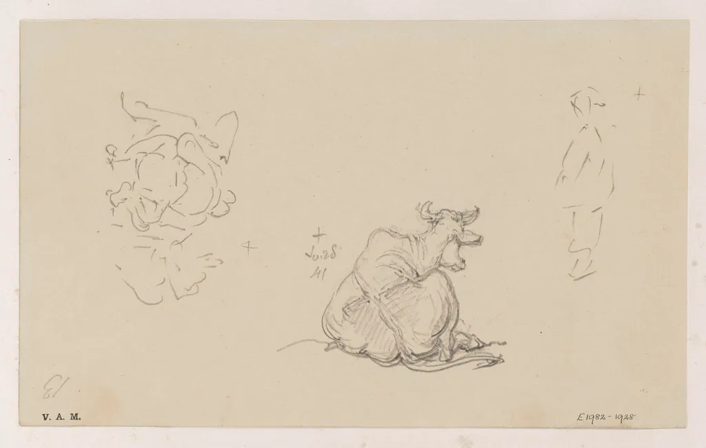 A cow seen from the rear, by George Chinnery, 18