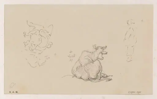 A cow seen from the rear, by George Chinnery