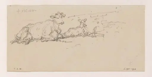 A cow with a tethered calf, by George Chinnery