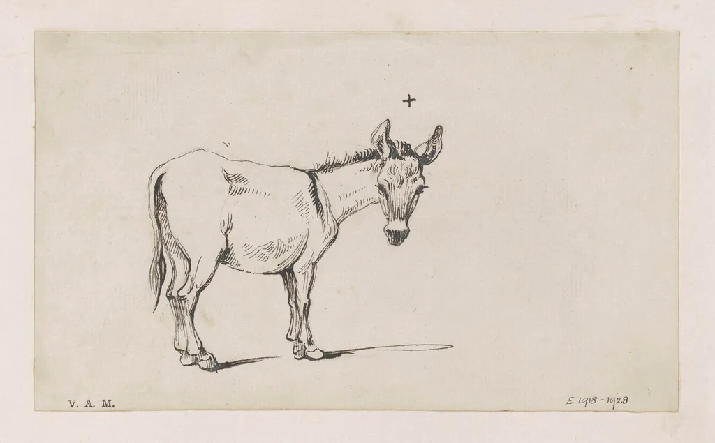 A donkey, by George Chinnery, 16