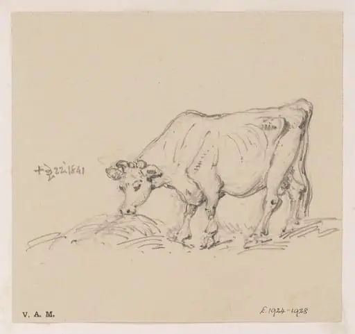 A feeding cow, by George Chinnery