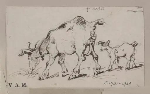 A goat and kid, by George Chinnery