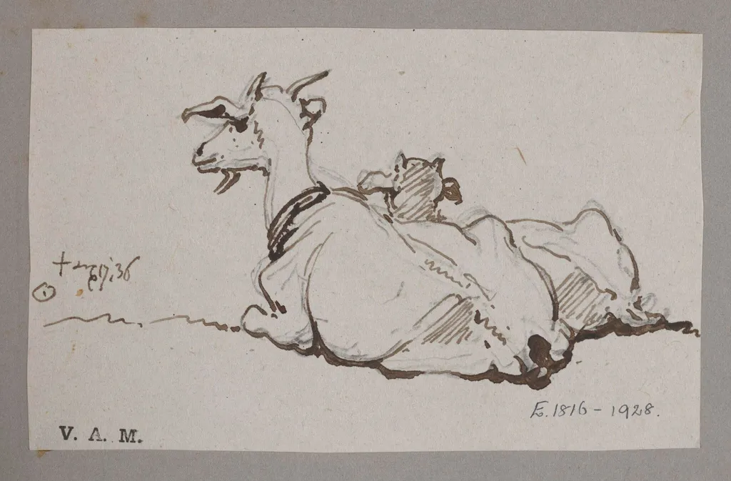 A goat and kid, by George Chinnery, 12