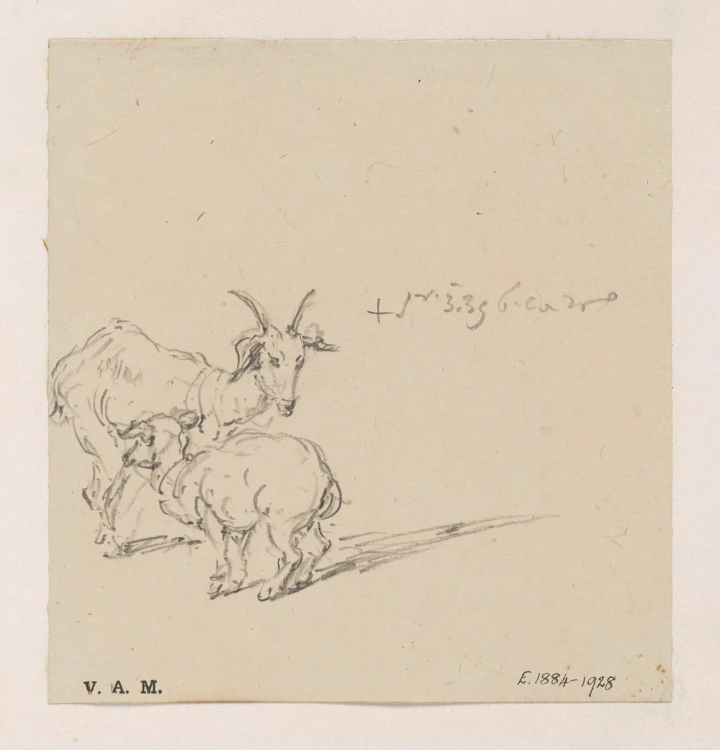 A goat and kid, by George Chinnery, 2