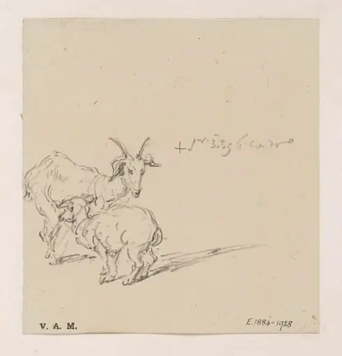 A goat and kid, by George Chinnery