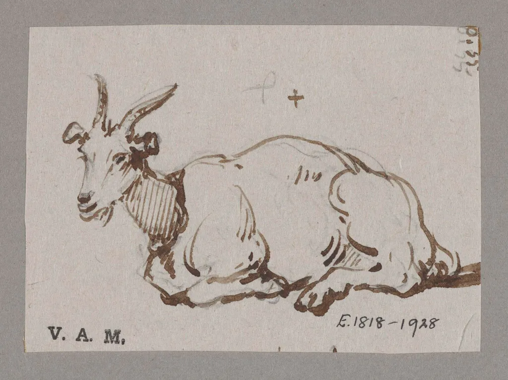 A goat reclining, by George Chinnery, 6