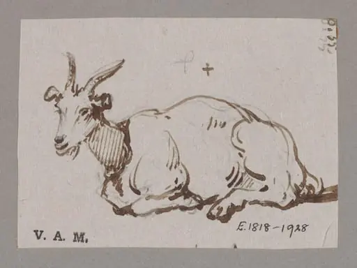 A goat reclining, by George Chinnery