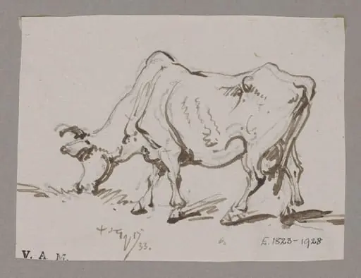 A grazing cow, by George Chinnery