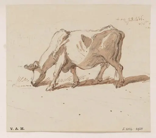 A grazing cow, by George Chinnery