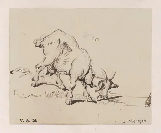 A grazing goat, by George Chinnery