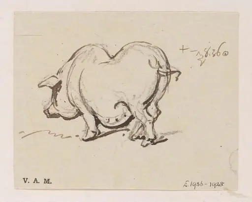 A pig, by George Chinnery