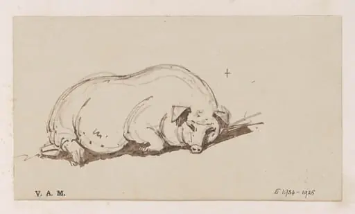 A pig, by George Chinnery