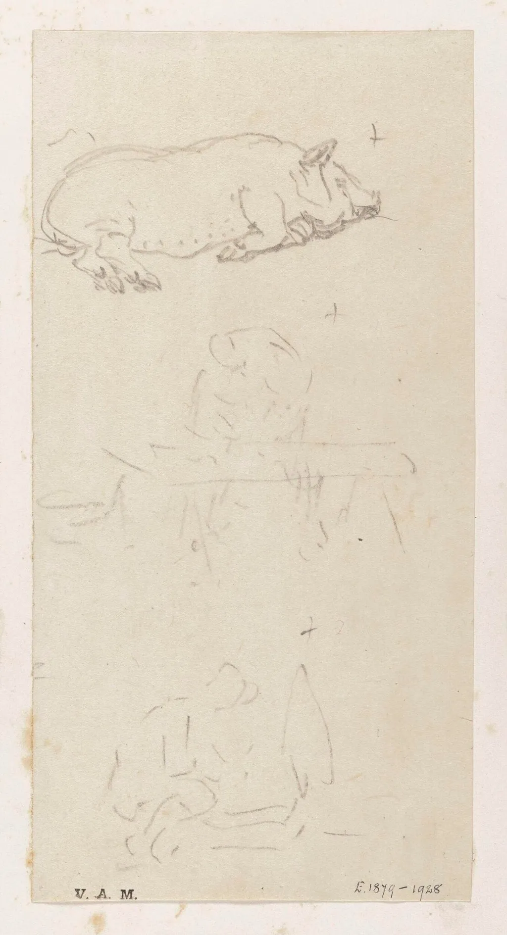 A pig lying on its side, by George Chinnery, 19